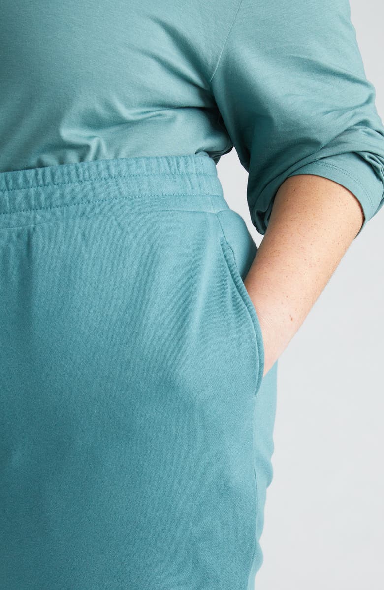 Universal Standard Lyria Fleece Sweatpants, Alternate, color,