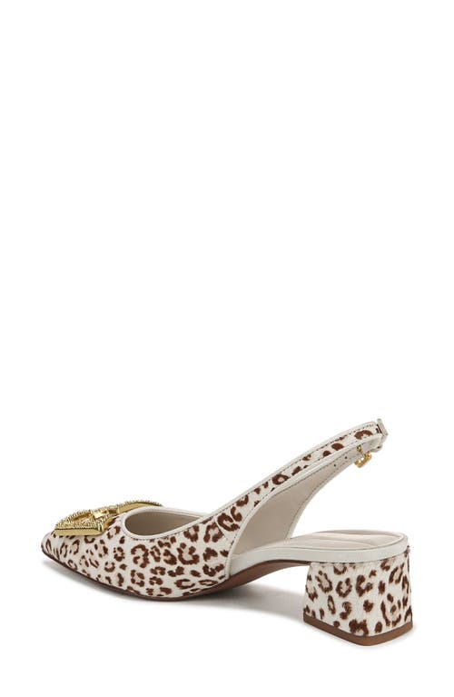 Franco Sarto Racer Slingback Pointed Toe Pump In Cream