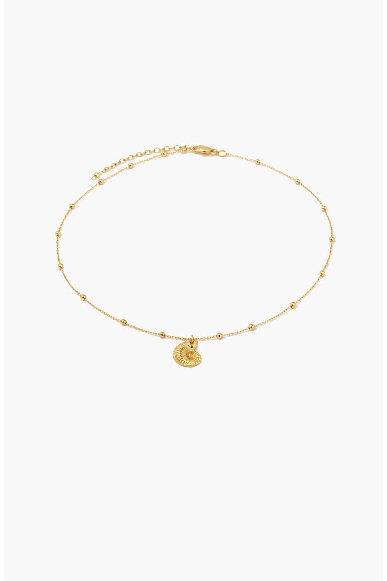 Coral Beaded Shell Chocker Necklace in Gold, Main, color, Gold
