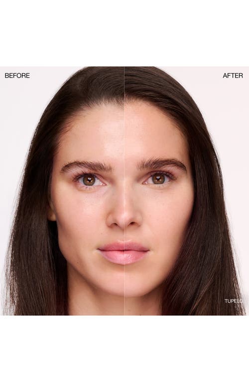 Ogee Complexion Perfecting Concealer