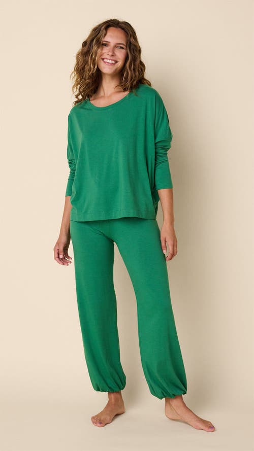 The Cat's Pajamas Pima Knit Pullover Set In Green