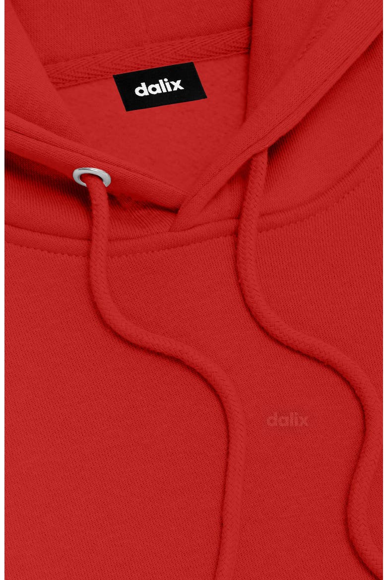 Ghost Midweight All Day Hoodie, Alternate, color, Red