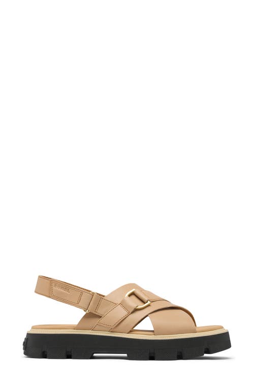 Sorel Rein Cb Crisscross Sandal In Multi