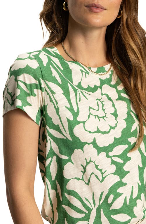 Sanctuary The Perfect T-shirt In Palm Green