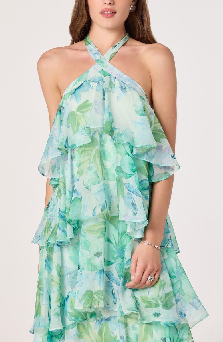 ASTR the Label Daiga Print Chiffon Halter Maxi Dress, Alternate, color, Green Floral