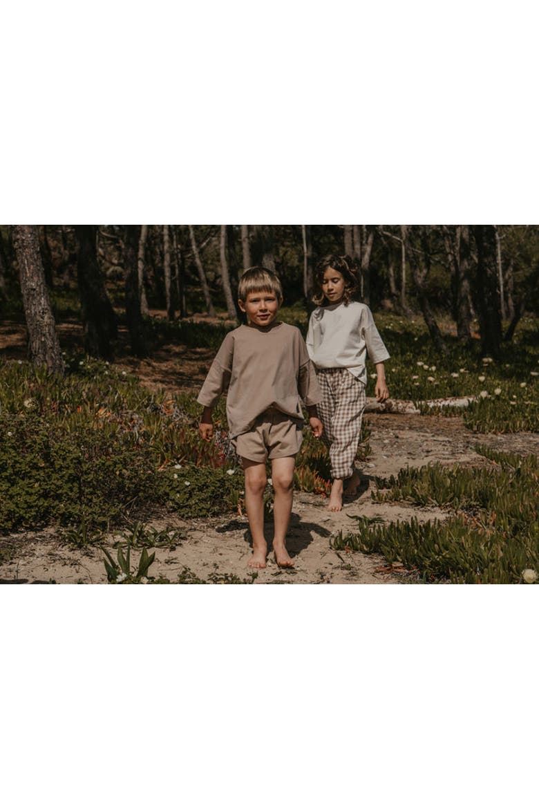 The Oversized Tee, Alternate, color, mushroom