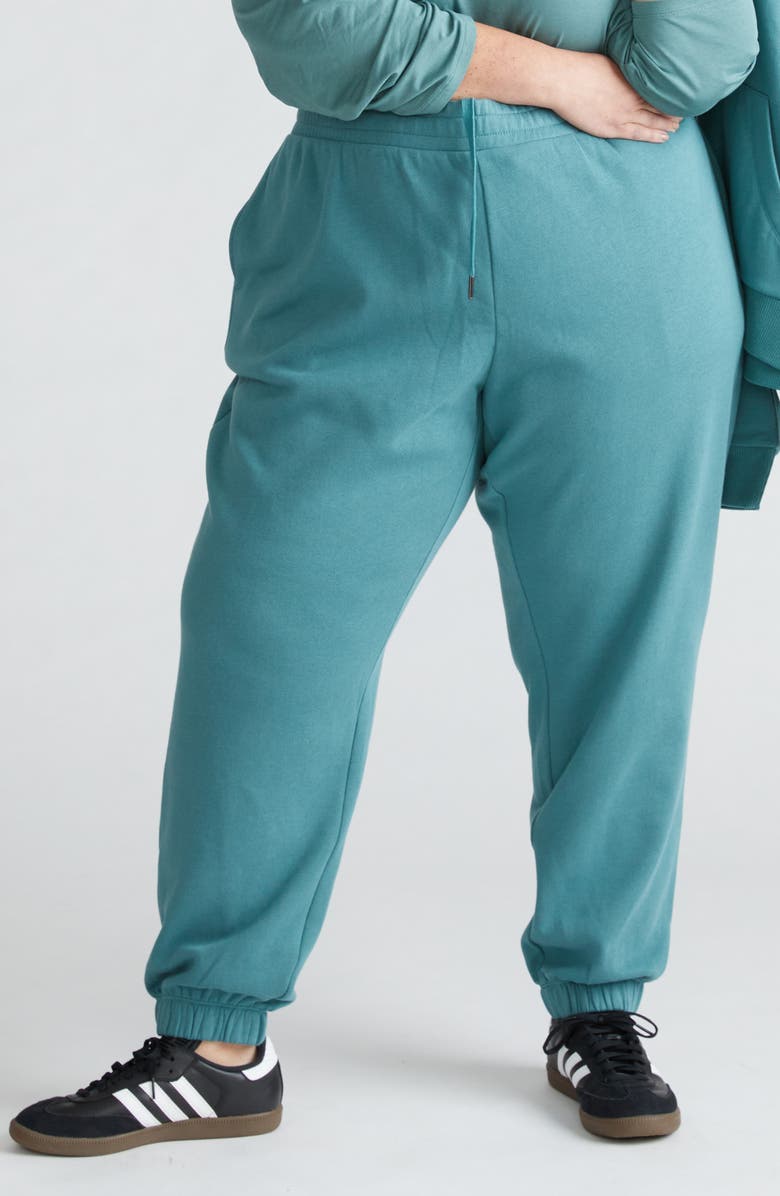 Universal Standard Lyria Fleece Sweatpants, Main, color,