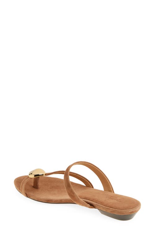 Madewell The Mila Organic Hardware Thong Slide Sandal In Aged Cognac