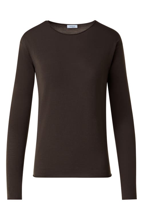 Akris Punto Wool Crewneck Top In Brown