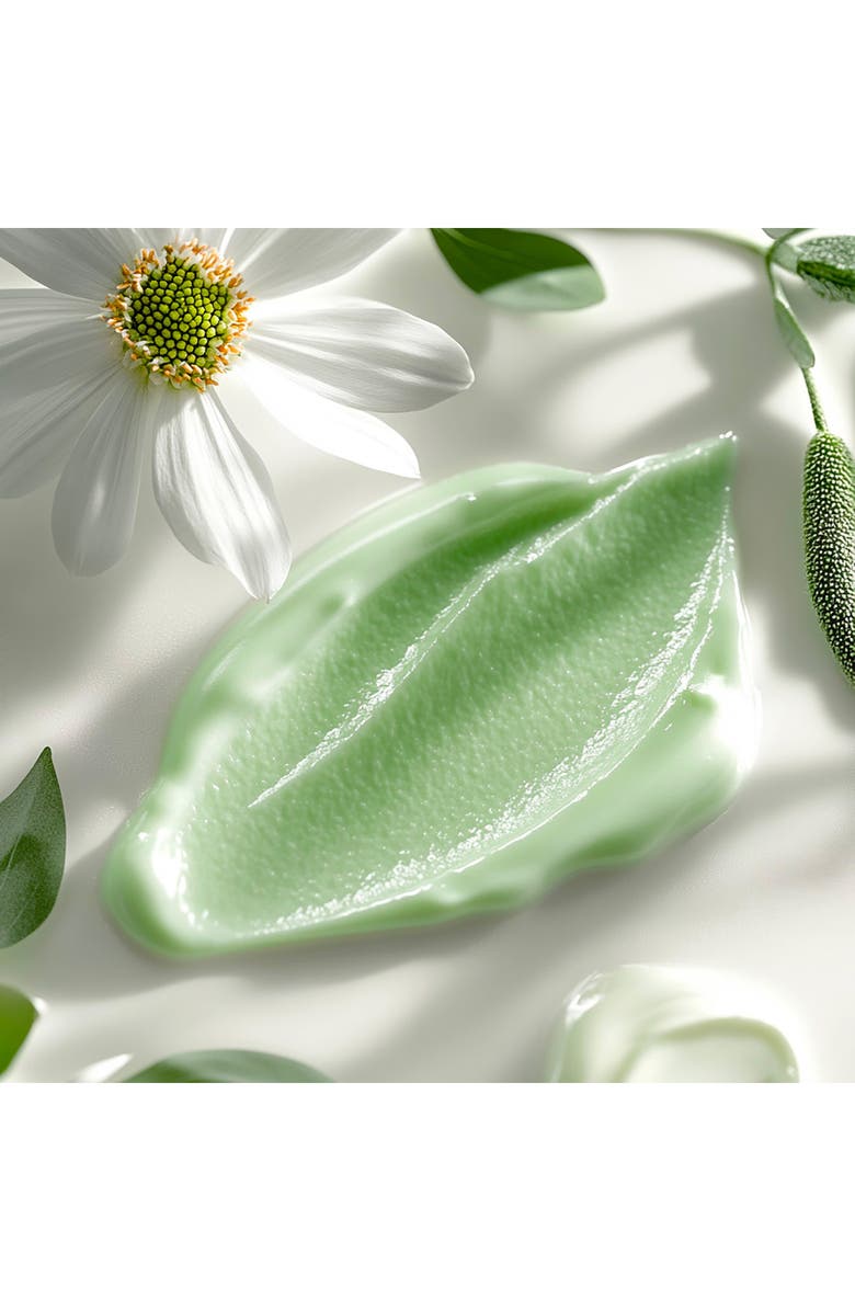 Leonor Greyl PARIS Crème Aux Fleurs Cream Shampoo, Alternate, color, 