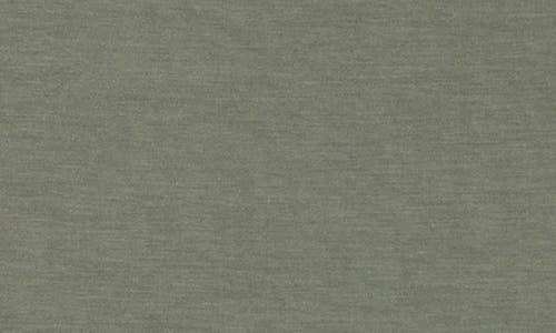 Daniel Rainn Cap Sleeve Ruched Side T-shirt In Washed Agave Green