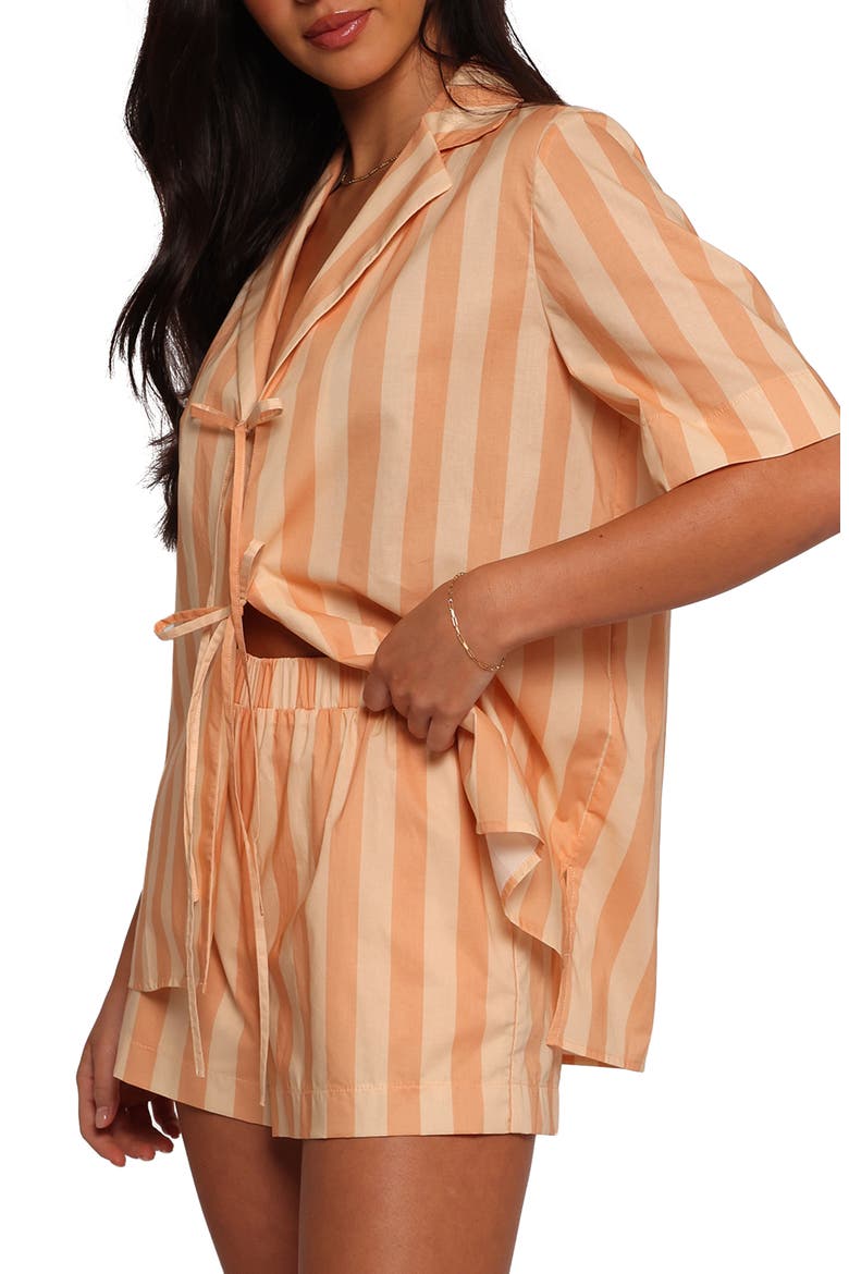 Essie Stripe Cotton Tie Front Shirt, Alternate, color, TERRACOTTA STRIPE