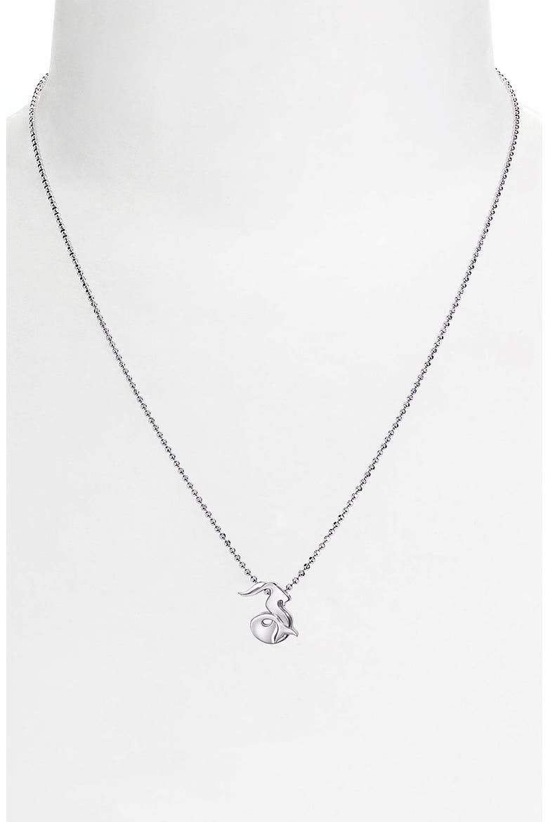 'Little Signs' Zodiac Pendant Necklace, Alternate, color, SILVER- CAPRICORN