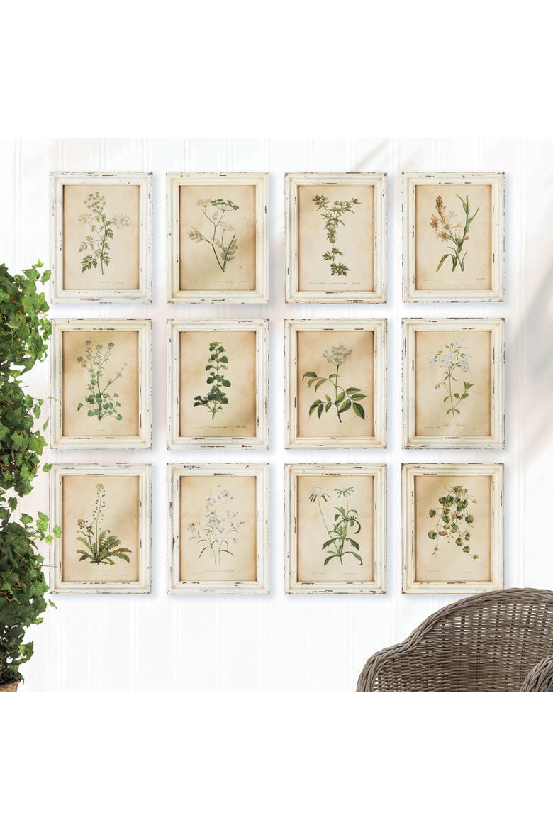 Framed Wild Flower Botanical Prints Set of 12, Alternate, color, Beige