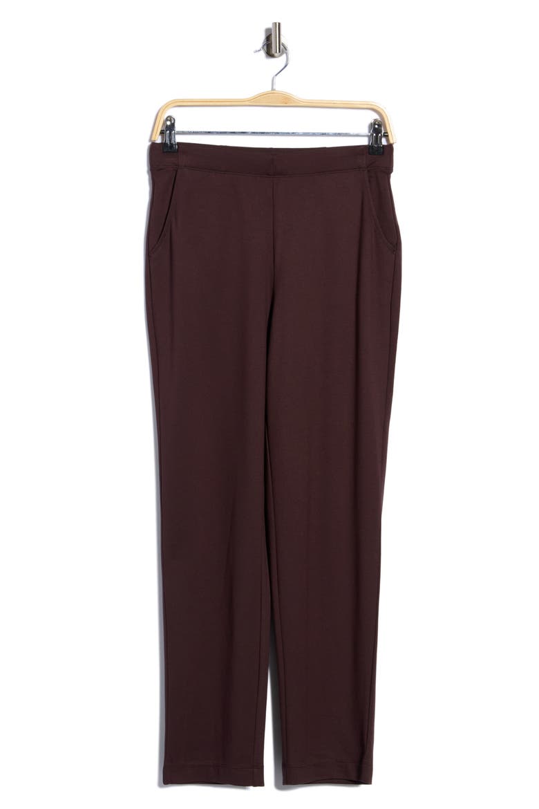 Slim Fit Straight Leg Pants, Alternate, color, CHOCOLATE-CHOCOLATE
