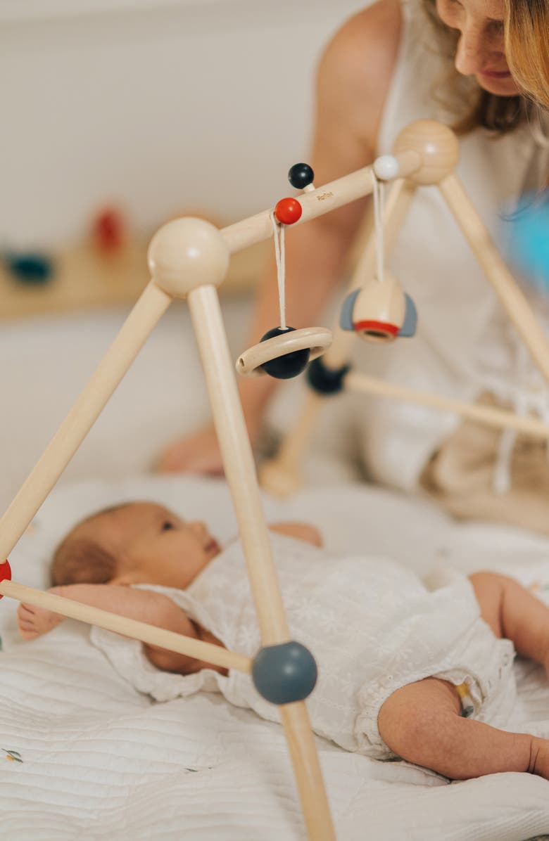 PlanToys<sup>®</sup> Play Gym, Alternate, color, Brown