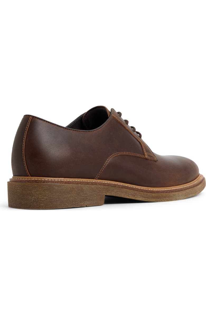 ALDO Raiden Derby, Alternate, color, Brown