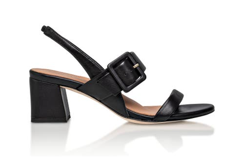 Joan Oloff Shoes Greyson Block Heel In Black