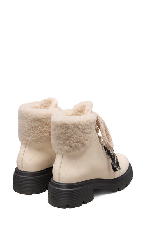 Stuart Weitzman Hudson Lite Lace Shearling-lined Leather Combat Boots In Neutral