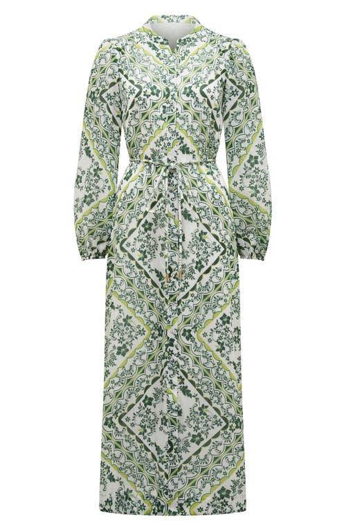 Ever New Penelope Printed Long Sleeve Maxi Shirtdress In Green