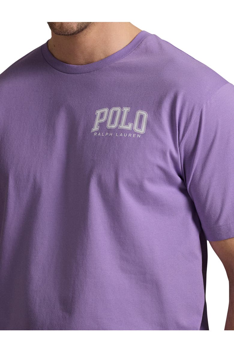 Big & Tall Logo Jersey T-Shirt, Alternate, color, LIGHT LILAC