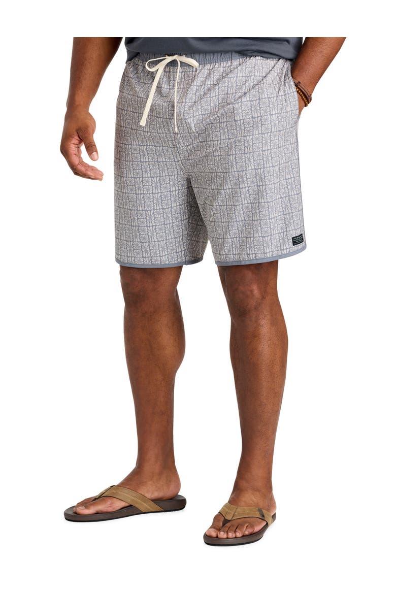 Big & Tall Cabana Board Shorts, Main, color, HEATHER GREY