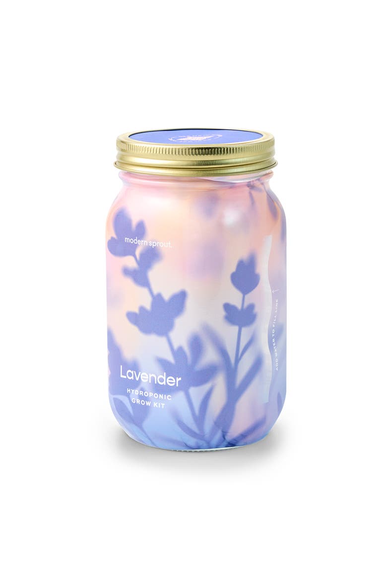 Garden Jar, Main, color, Lavender