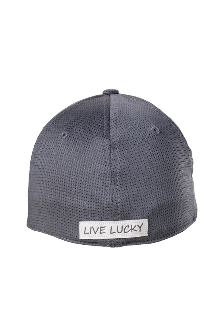 Iron X Steel Hat, Alternate, color, Titanium