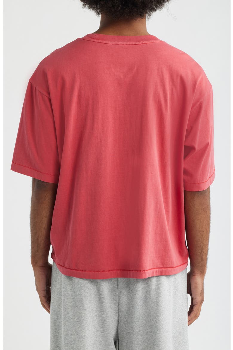 Garment Dyed Boxy Crop T-Shirt, Alternate, color, RED BEAUTY