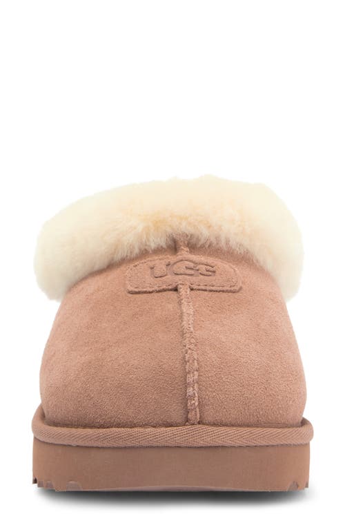Ugg(r) Tazzette Genuine Shearling Collar Slipper