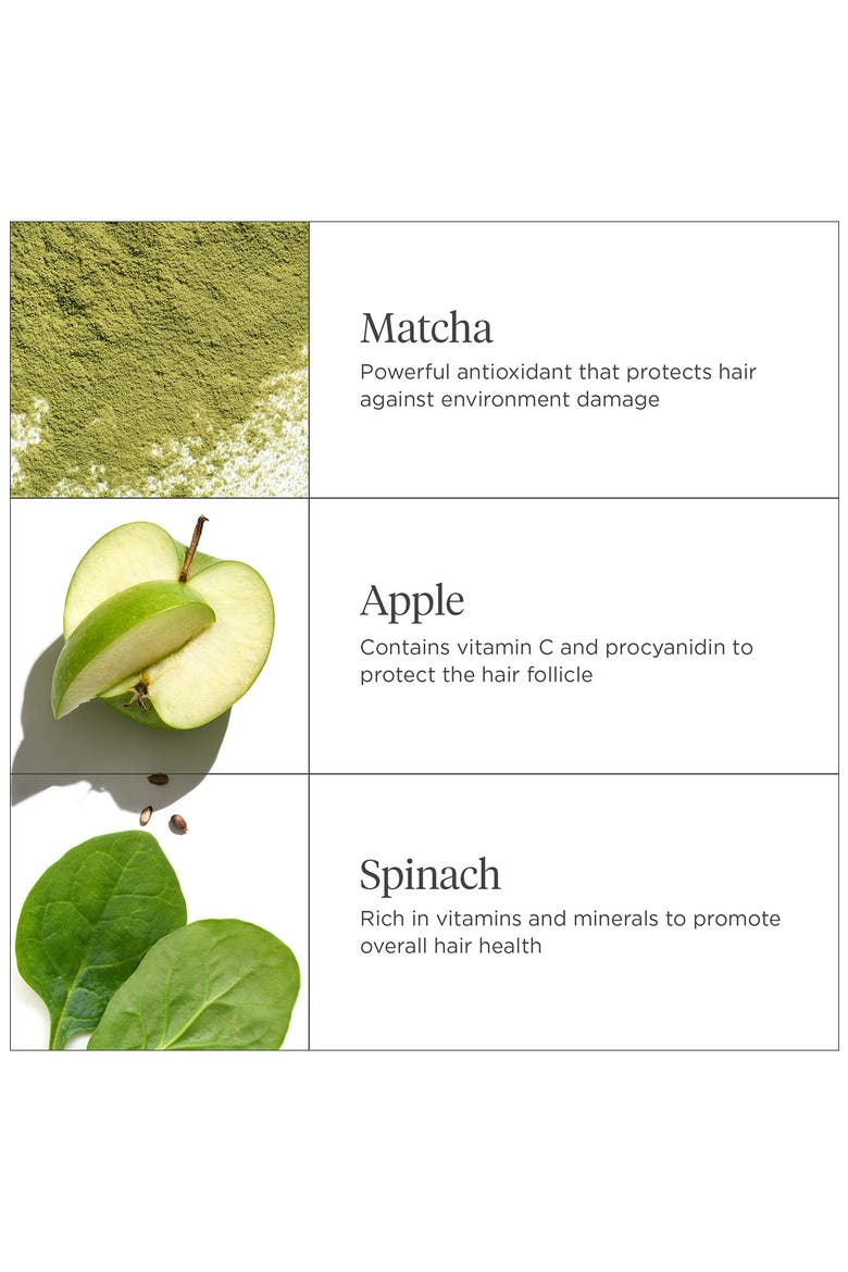 Matcha + Apple Replenishing Superfood Shampoo, Alternate, color, NO COLOR