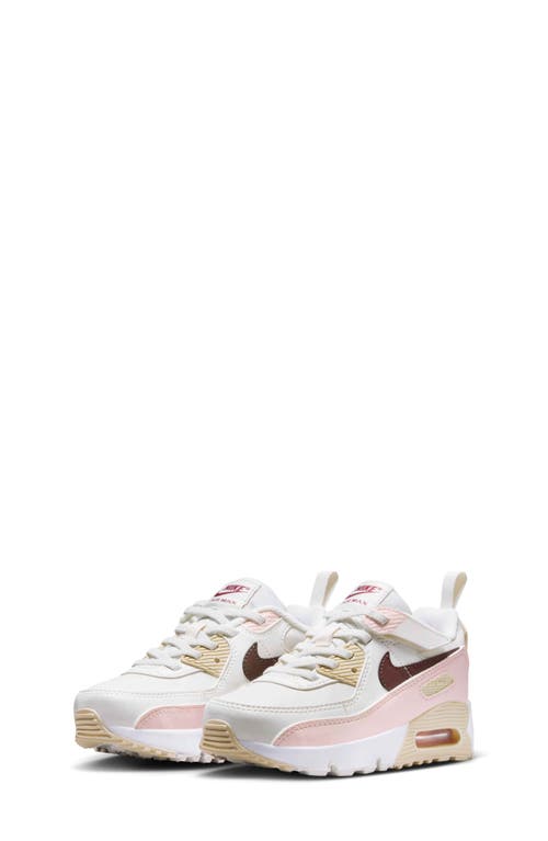 Nike Air Max 90 Easy-on Sneaker In Multi