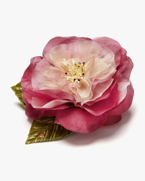 Helena Simon The Camellia In Pink