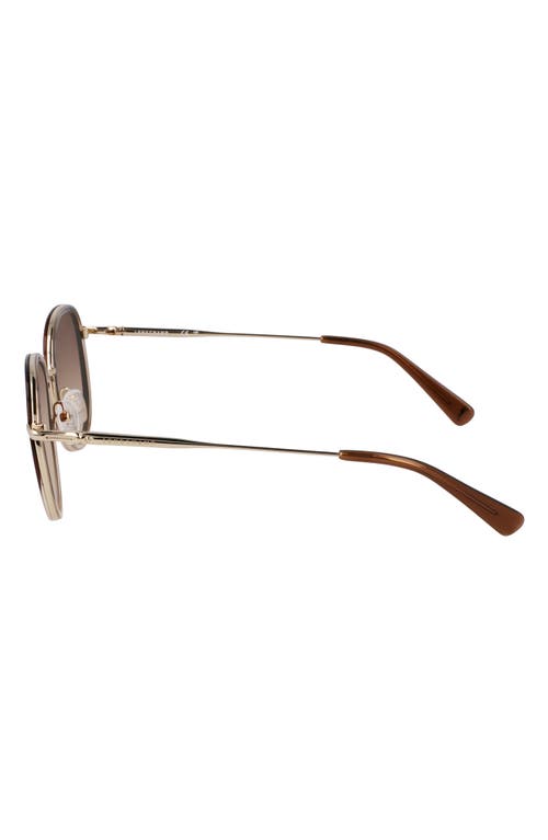Longchamp Roseau 52mm Gradient Round Sunglasses In Gold/gradient Brown