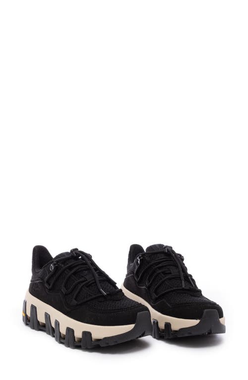P448 Monalea Sneaker in Tux Black 
