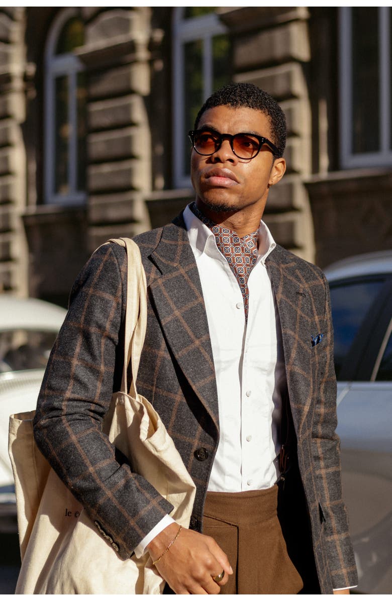 Elizabetta Barberini - Silk Ascot Cravat Tie for Men, Alternate, color, Chocolate