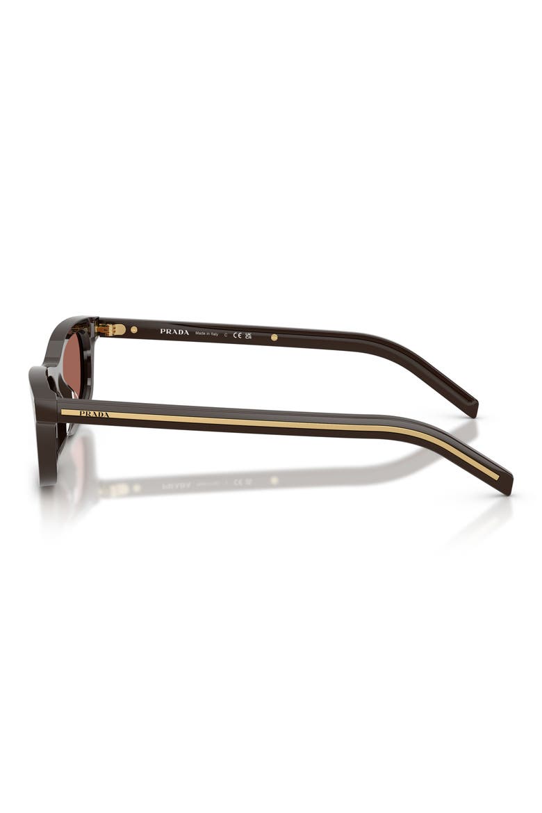 53mm Pillow Sunglasses, Alternate, color, CIGAR / BROWN