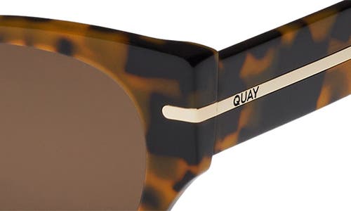 Quay Chit Chat 47mm Cat Eye Sunglasses In Pebble Tort/brown