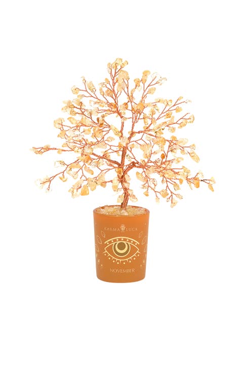 Citrine Feng Shui Crystal Tree November Birthstone Illuminated Path