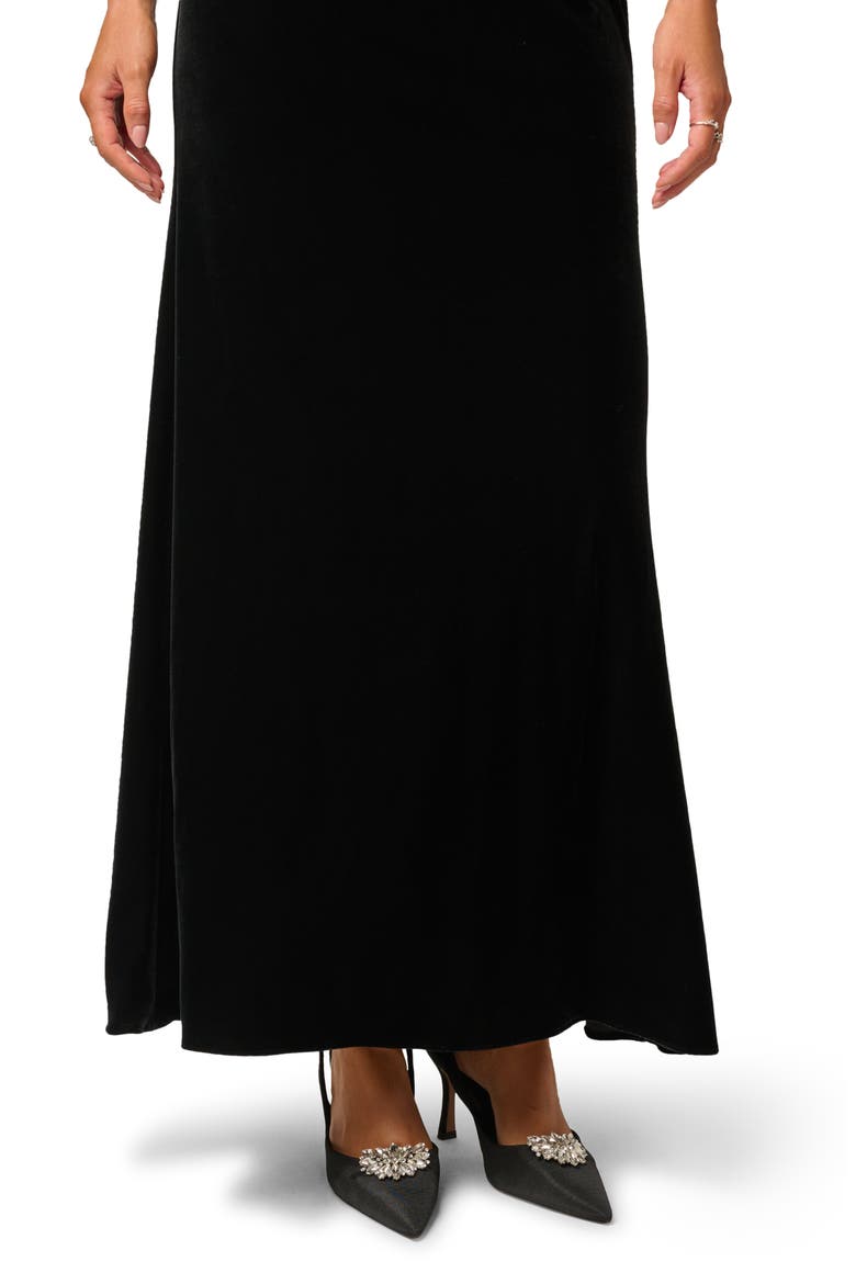 Beaded Neck Sleeveless Velvet Gown, Alternate, color, BLACK