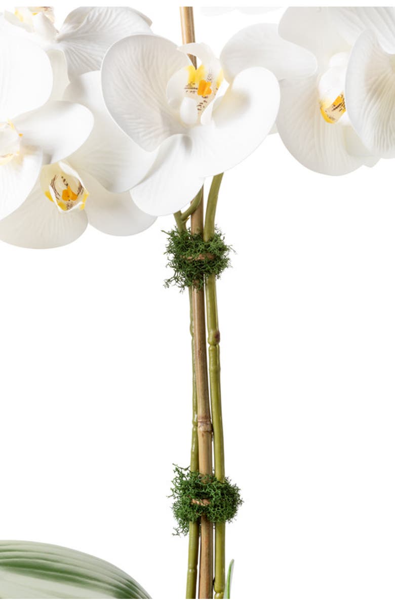 CocoBella Rosalyn RealTouch Orchid, Alternate, color, Snow