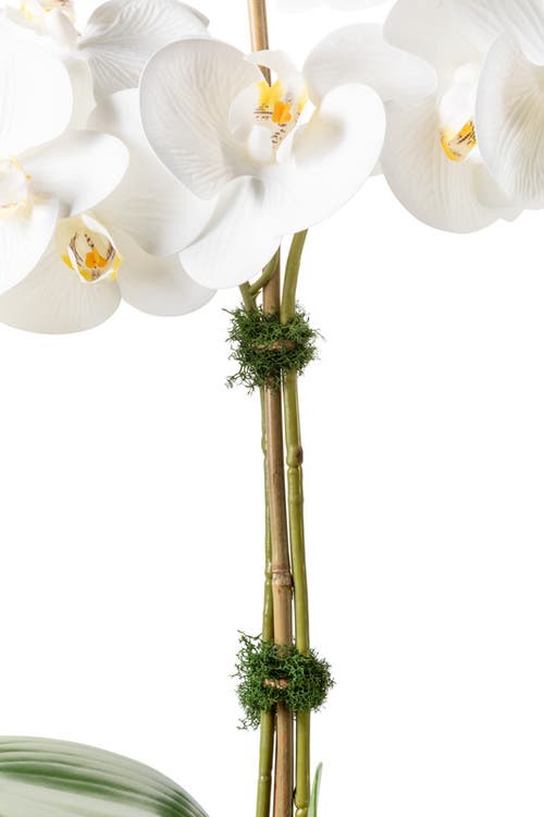 Cocobella Rosalyn Realtouch Orchid In Snow