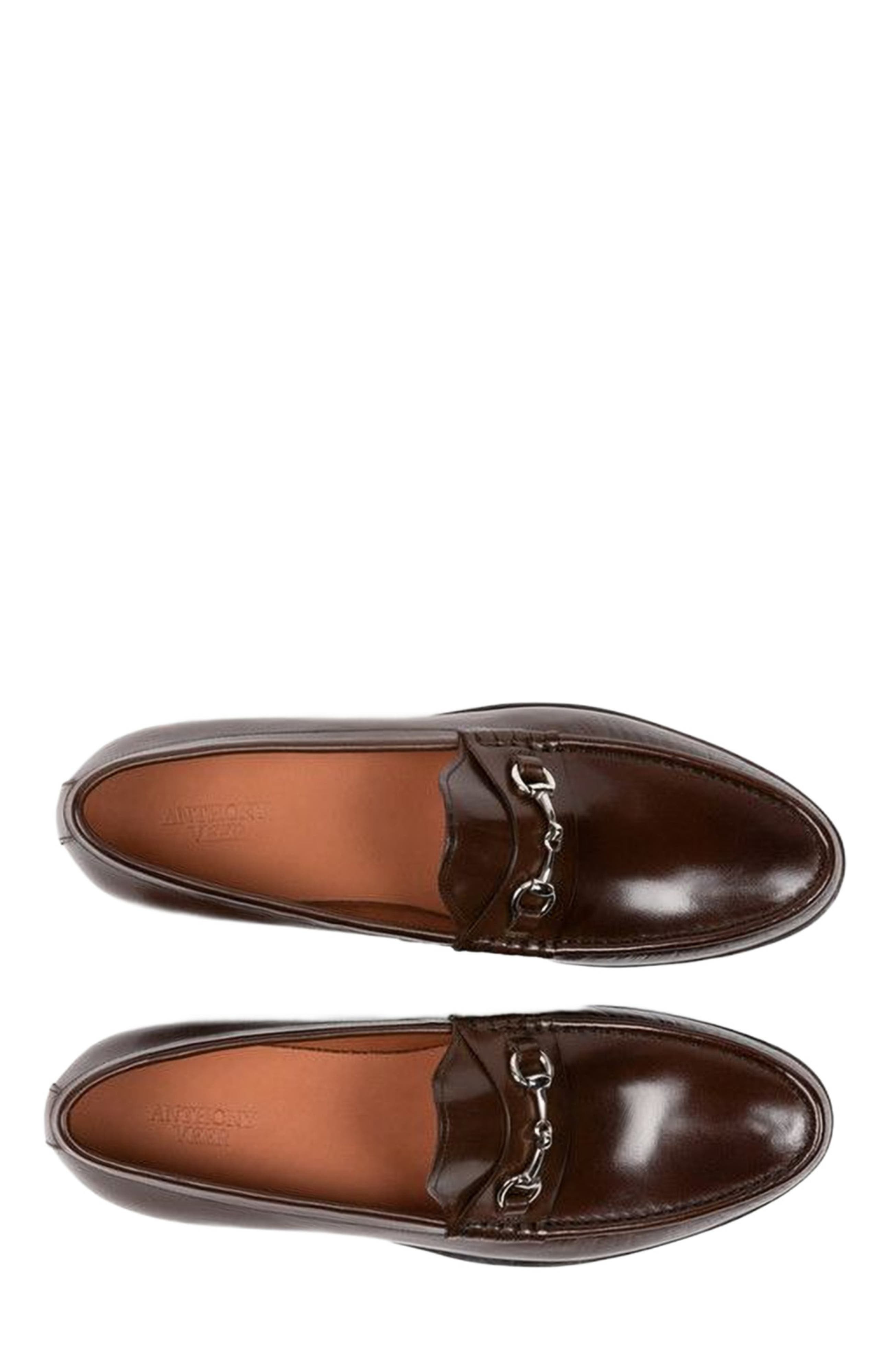 Torino Bit Loafer, Alternate, color, Chestnut Depth Brown
