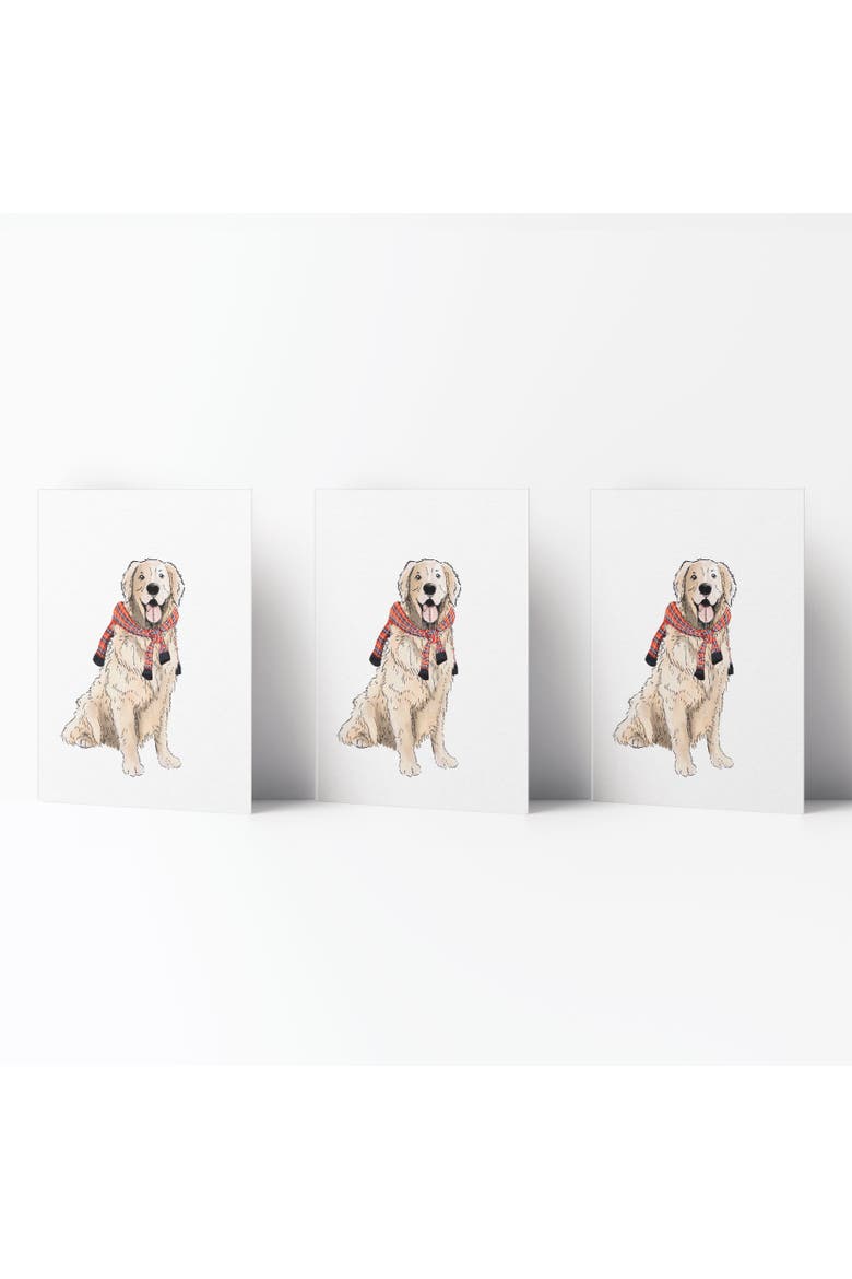 Everyday Greeting Card Pack (3ct) "Preppy Retriever", Main, color, Multi-Pack