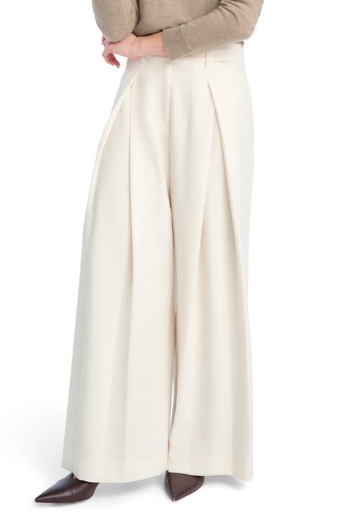 Pleats for Days Wide Leg Pants (Petite)