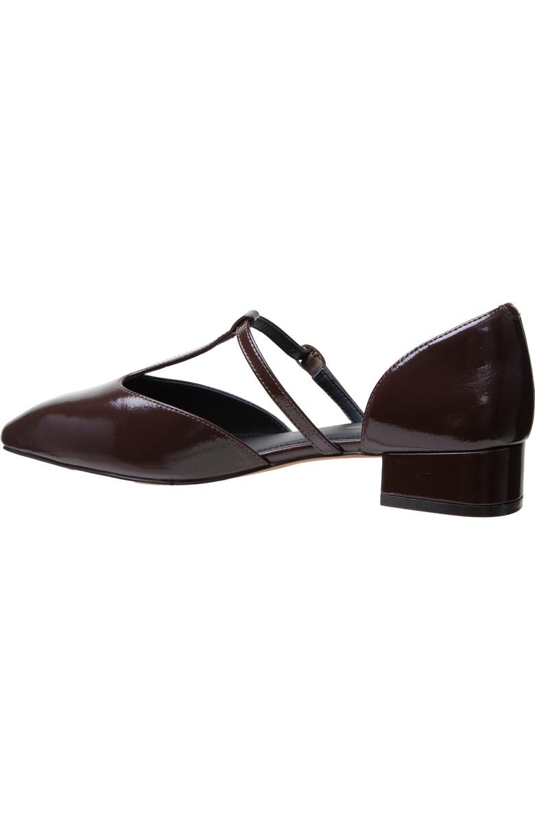Linea Paolo Coralee Mary Jane Pump, Alternate, color, Chocolate