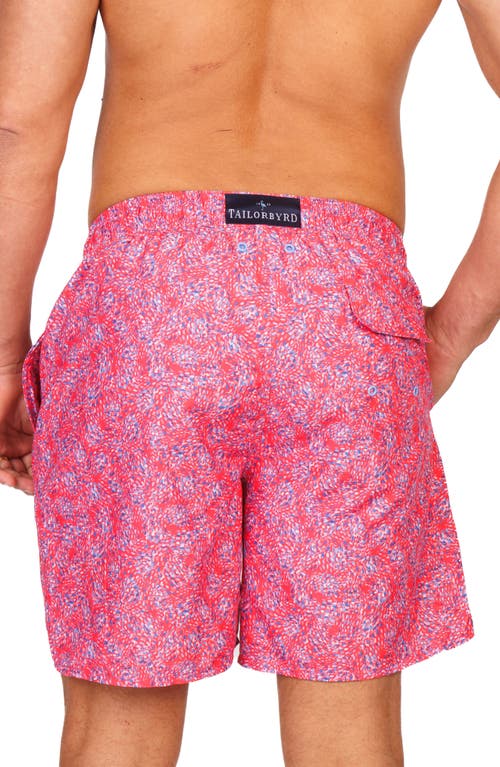 Tailorbyrd Abstract Print Swim Trunks In Pink