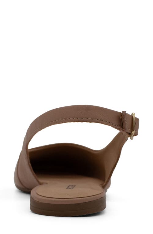Bottero Botsamya Xxiv Slingback Flat