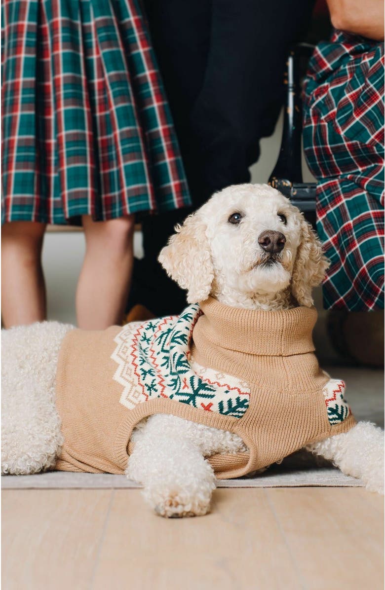 Hope & Henry Pets' Fair Isle Dog Sweater, Alternate, color, 