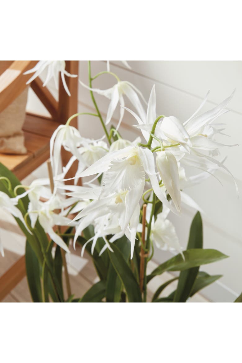 Spider Orchid Drop-In 44", Alternate, color, White